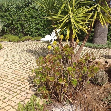 casa oliviera Bed & Breakfast Moncarapacho Luaran gambar
