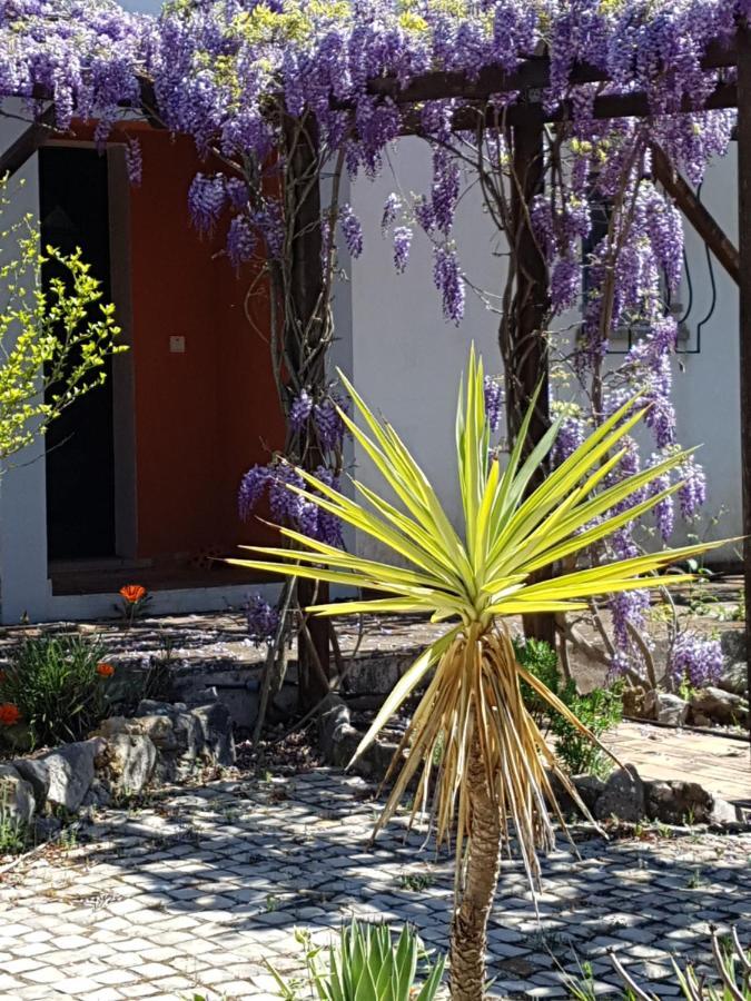 casa oliviera Bed & Breakfast Moncarapacho Luaran gambar