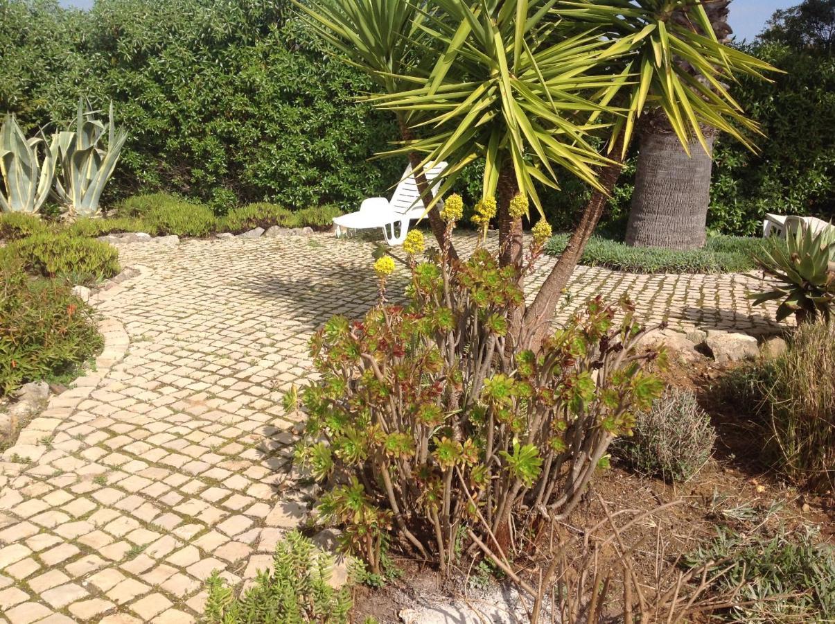 casa oliviera Bed & Breakfast Moncarapacho Luaran gambar