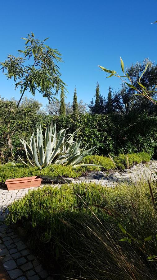 casa oliviera Bed & Breakfast Moncarapacho Luaran gambar